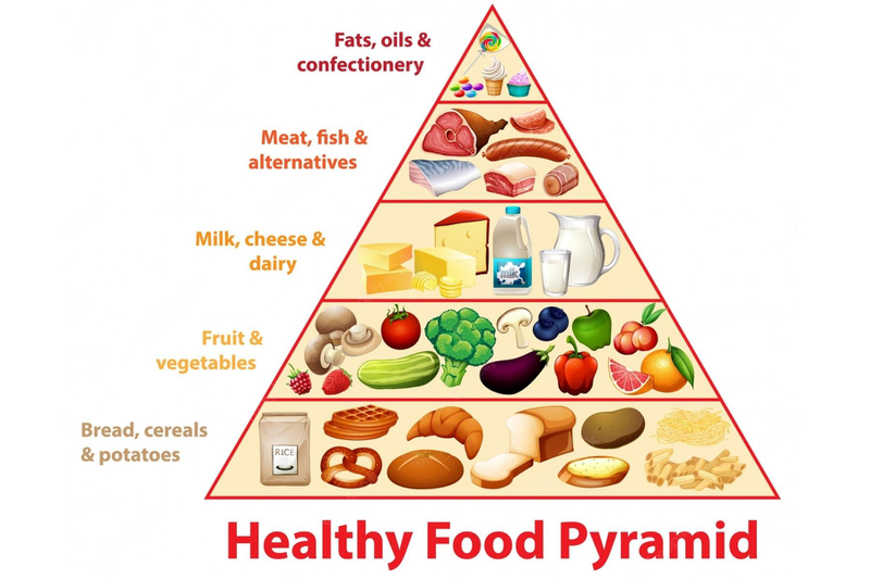 CHẾ ĐỘ ĂN TĂNG CÂN HIỆU QUẢ CHO NGƯỜI GẦY